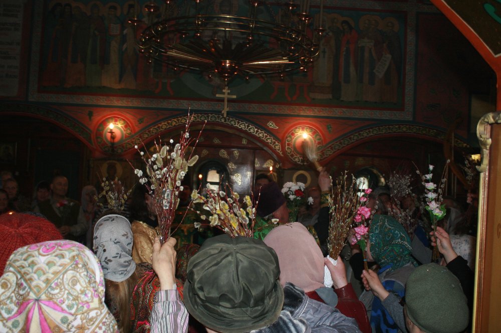 81b7d59813d4655bf9042463e07003ae